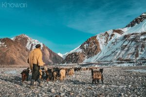 chitral culture, history & society