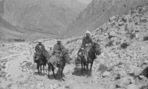 A caravan on the road from the Dorah Pass. Dorah has since time immemorial been one of the main routes between Central-Asia and India, Picture: Georg Morgenstierne, 1929