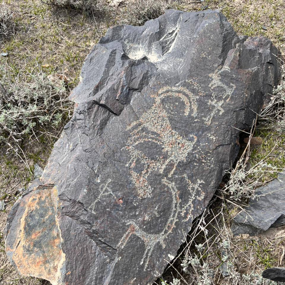 A rock carving of Parwak Upper Chitral