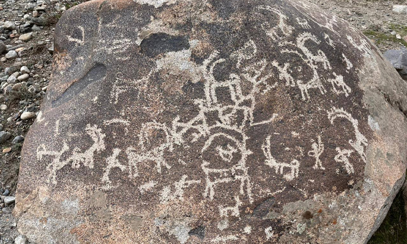 petroglyph rock carvings of parwak upper chitral